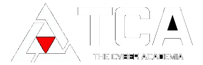 The Cyber Academia